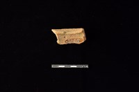 陶片藏品圖，第2張